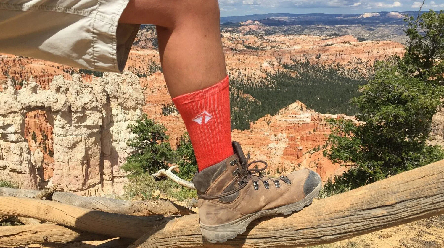 Lift23 Atacama Performance Crew Sock