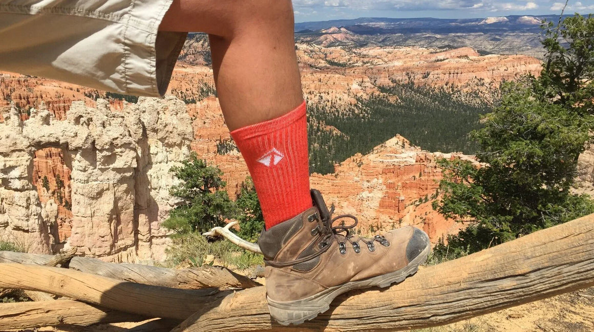 Lift23 Atacama Performance Crew Sock