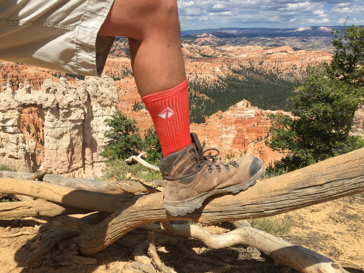 Lift23 Atacama Crew Socks