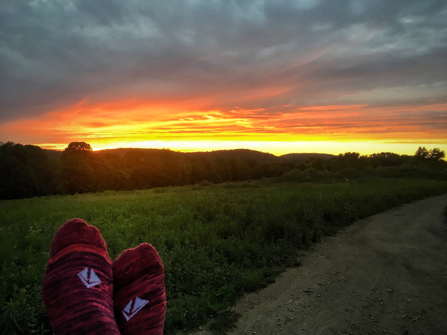Low-cut Atacama Socks