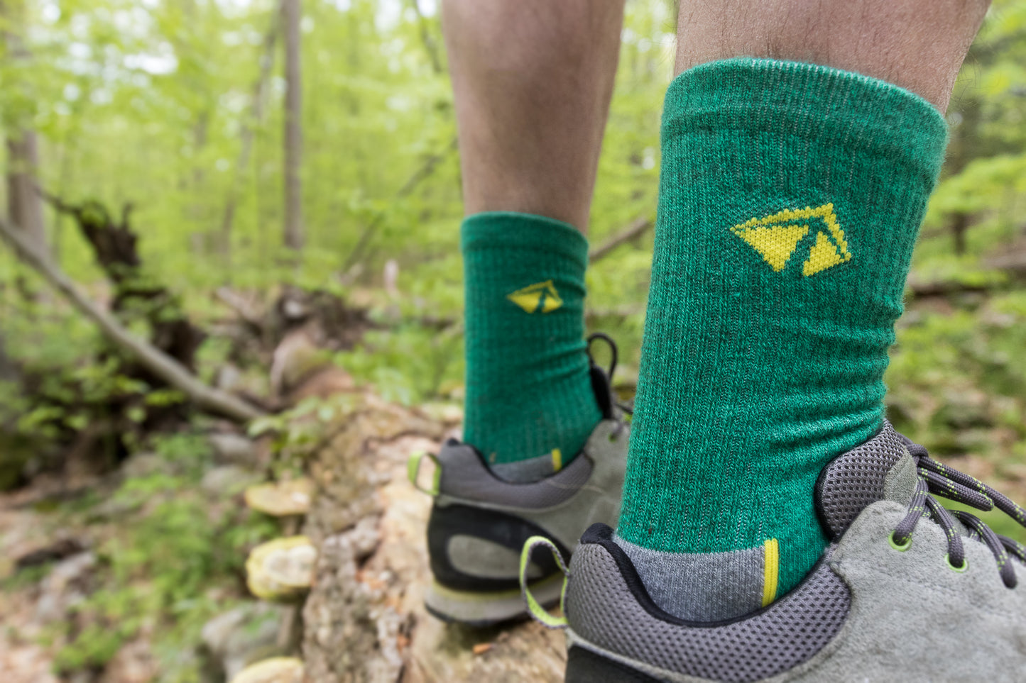 Atacama Performance Crew Sock - "Pride of Burlington" 2 Pair (4 Socks)